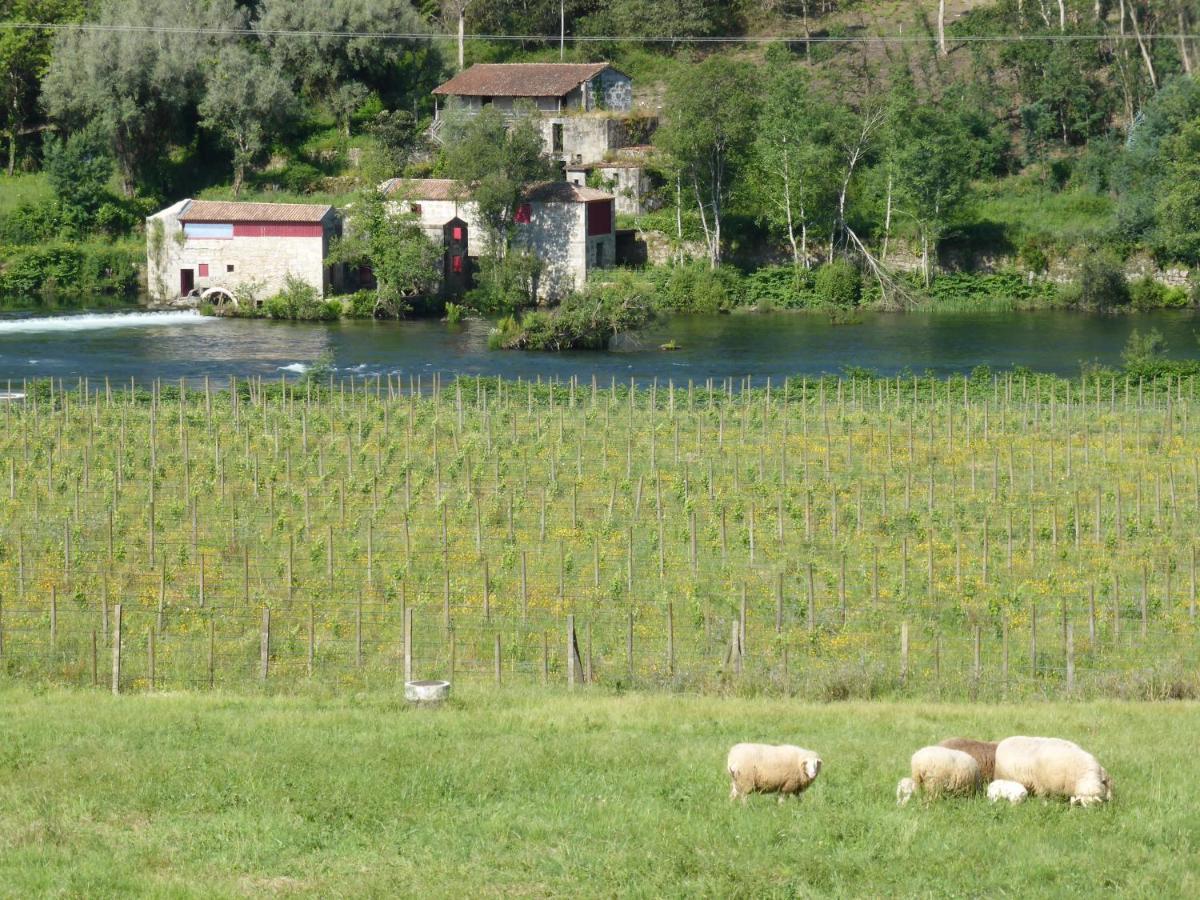 Quinta Do Burgo - Nature Hotel Amares Dış mekan fotoğraf