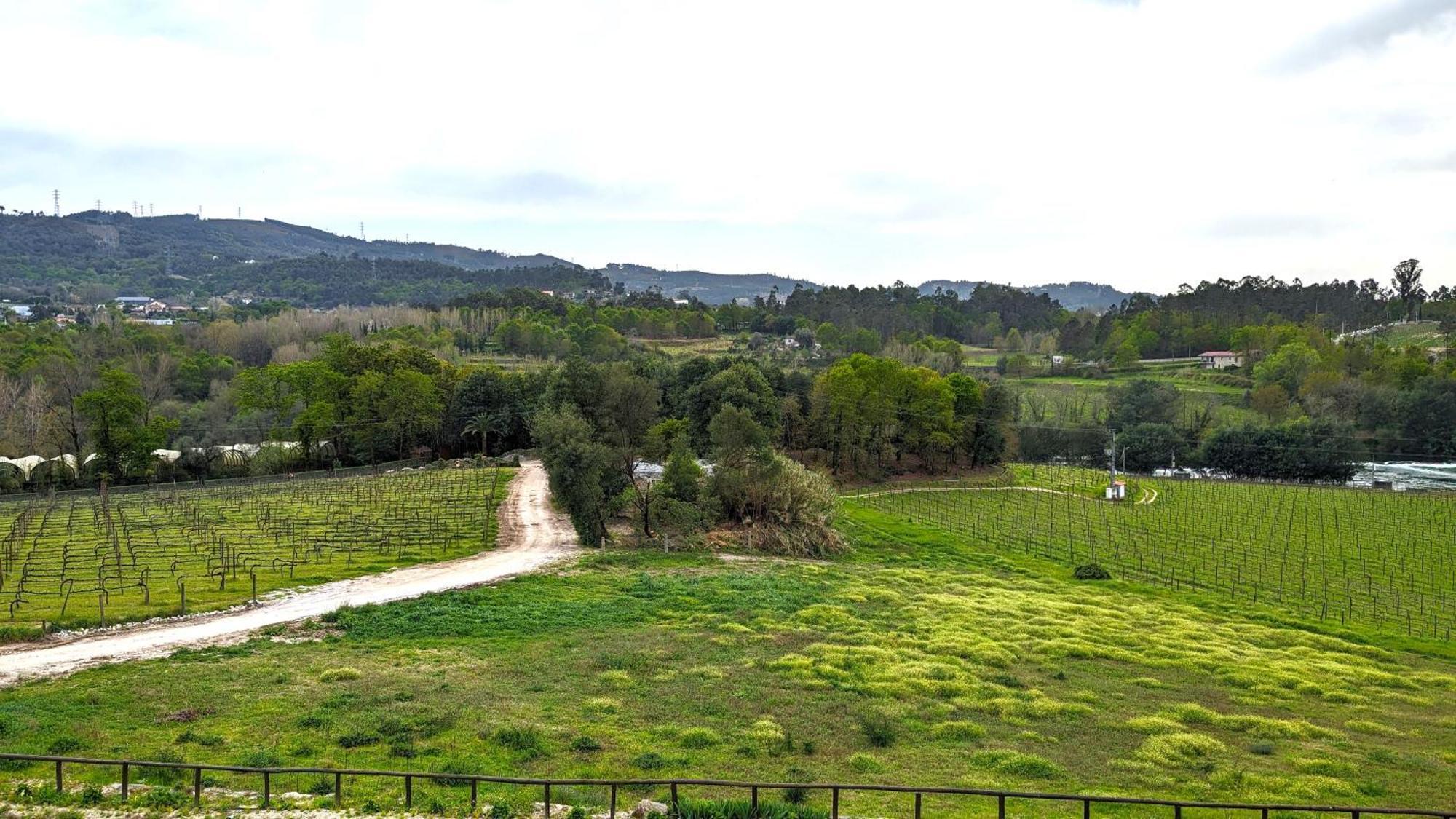 Quinta Do Burgo - Nature Hotel Amares Dış mekan fotoğraf